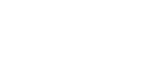 Alter Digital